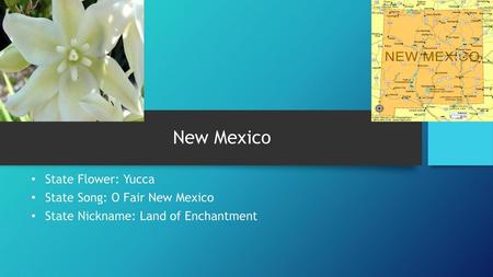 New Mexico State Flower: Yucca State Song: O Fair New Mexico