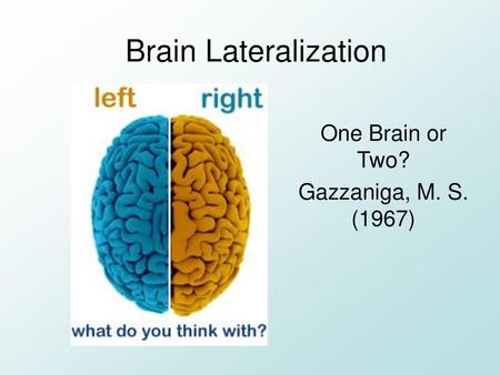 One Brain or Two? Gazzaniga, M. S. (1967)