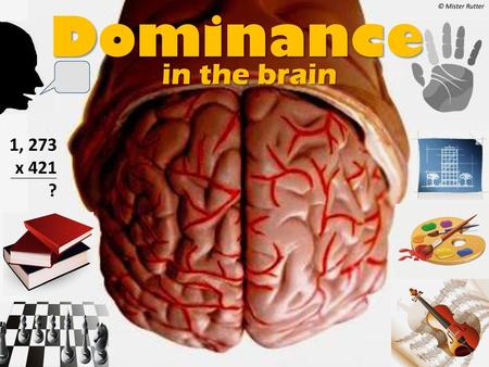 Dominance © Mister Rutter in the brain 1, 273 x 421 ?