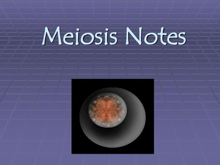 Meiosis Notes.