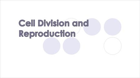 Cell Division and Reproduction