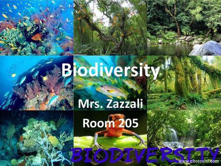 Biodiversity Mrs. Zazzali Room 205.