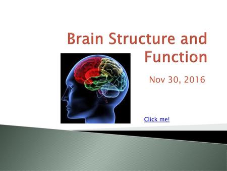 Brain Structure and Function