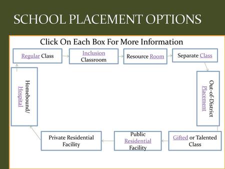 SCHOOL PLACEMENT OPTIONS