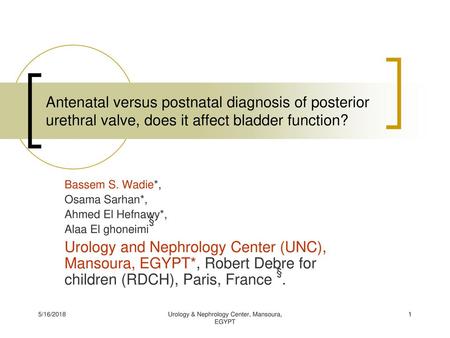 Urology & Nephrology Center, Mansoura, EGYPT