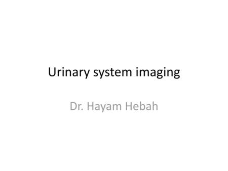 Urinary system imaging