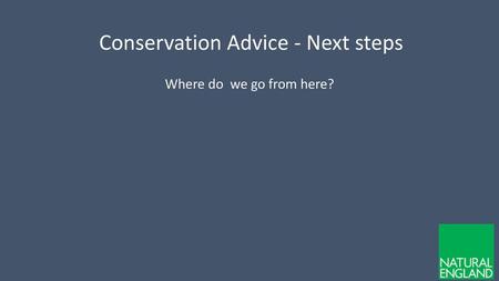 Conservation Advice - Next steps