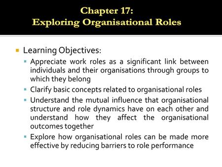 Exploring Organisational Roles