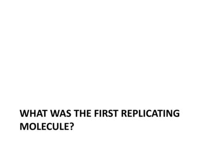 What was the first replicating molecule?