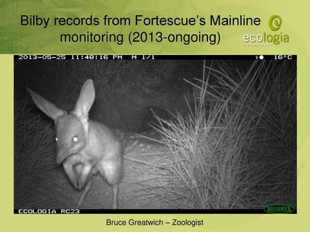 Bilby records from Fortescue’s Mainline monitoring (2013-ongoing)