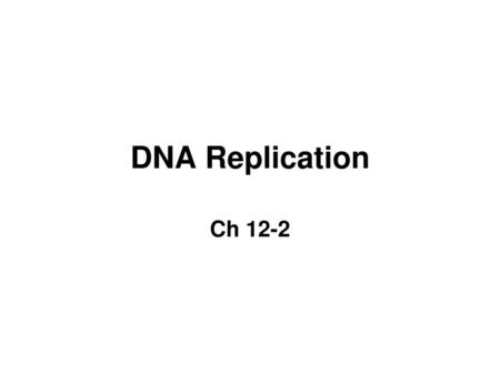 DNA Replication Ch 12-2.