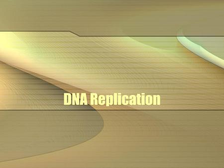 DNA Replication.