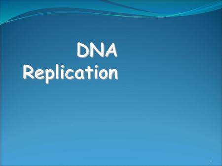 DNA Replication.