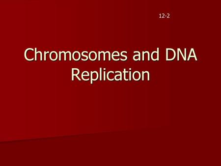 Chromosomes and DNA Replication