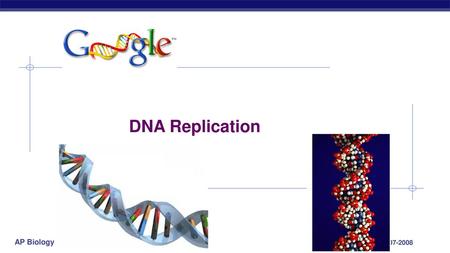 DNA Replication 2007-2008.