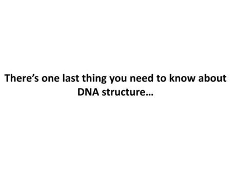 There’s one last thing you need to know about DNA structure…