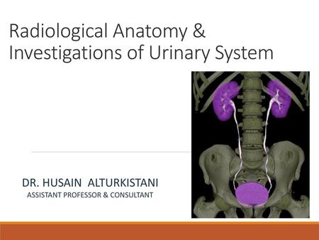 Radiological Anatomy & Investigations of Urinary System