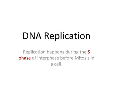 DNA Replication Replication happens during the S phase of interphase before Mitosis in a cell.