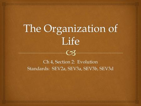 The Organization of Life