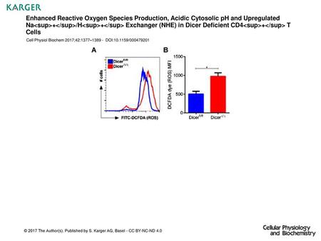 Enhanced Reactive Oxygen Species Production, Acidic Cytosolic pH and Upregulated Na+/H+ Exchanger (NHE) in Dicer Deficient CD4+