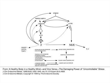 Figure 1. A schematic representation of the stress system