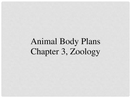 Animal Body Plans Chapter 3, Zoology.