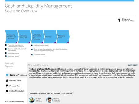 Cash and Liquidity Management Scenario Overview