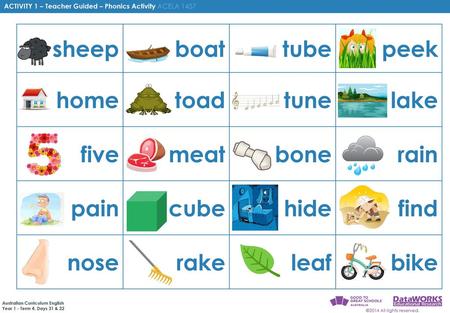 sheep boat tube peek home toad tune lake five meat bone rain pain cube