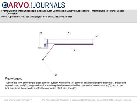 From: Experimental Endoscopic Endovascular Cannulation: A Novel Approach to Thrombolysis in Retinal Vessel Occlusion Invest. Ophthalmol. Vis. Sci.. 2012;53(1):42-46.