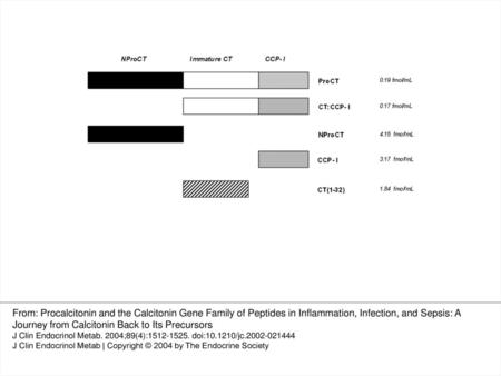 Fig. 1. Schematic representation of ProCT and the other CT precursors (CTpr) derived from this prohormone (i.e. NProCT, CT-CCP-I, and CCP-I). The mean.