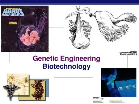 Genetic Engineering Biotechnology