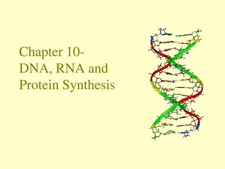 Chapter 10- DNA, RNA and Protein Synthesis