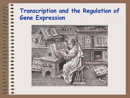 Transcription and the Regulation of Gene Expression