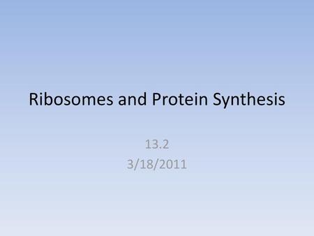 Ribosomes and Protein Synthesis