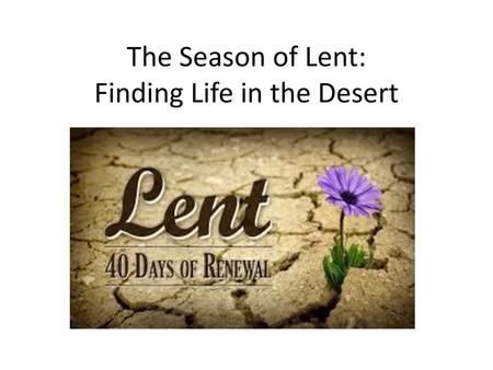 The Season of Lent: Finding Life in the Desert