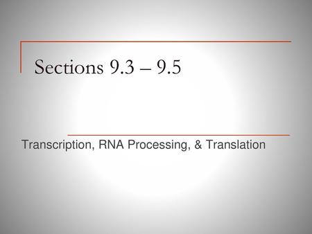 Transcription, RNA Processing, & Translation