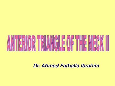 ANTERIOR TRIANGLE OF THE NECK II