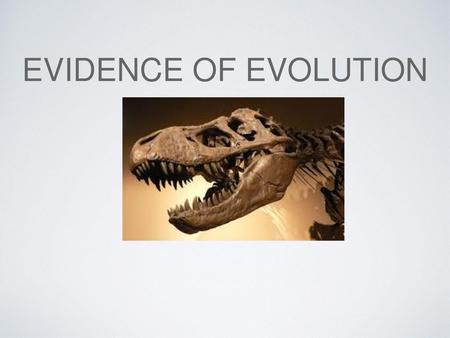 EVIDENCE OF EVOLUTION.