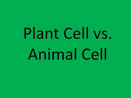 Plant Cell vs. Animal Cell