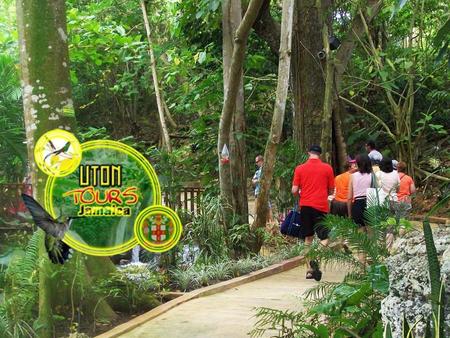 Uton Tours Zipline Adventure Beach Tour Cruise Tour