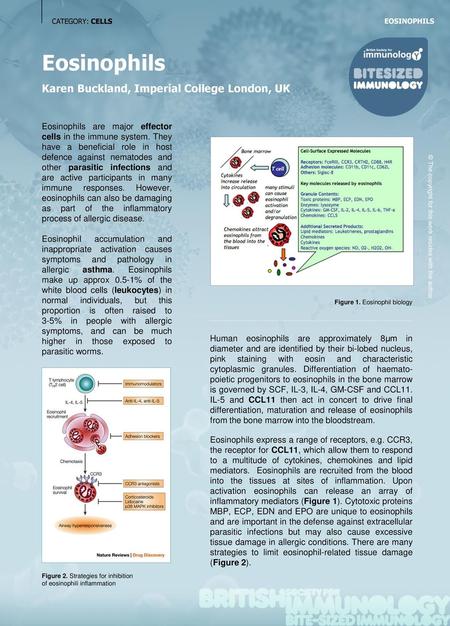 Eosinophils Karen Buckland, Imperial College London, UK