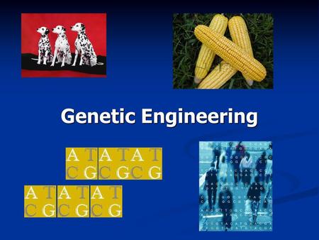 Genetic Engineering.