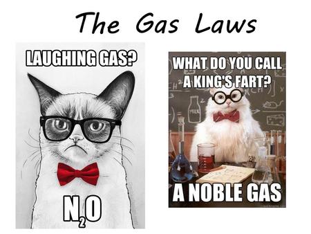 The Gas Laws.