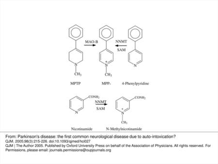 Figure 1. Formation of MPP+ from either MPTP by MAO-B, or methylation of 4-phenylpyridine by NNMT (top). Methylation of nicotinamide by NNMT.