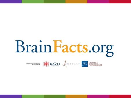 The Heart vs The Brain Emotions. The Heart vs The Brain Emotions.