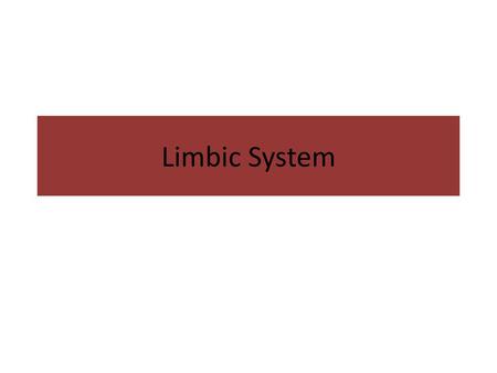 Limbic System.