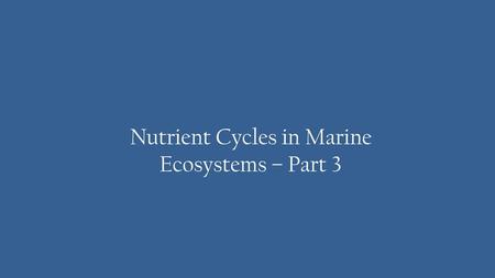 Nutrient Cycles in Marine Ecosystems – Part 3