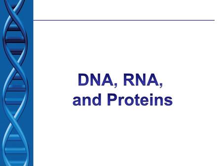 DNA, RNA, and Proteins.