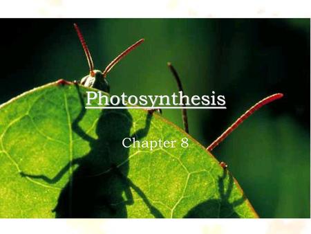 Photosynthesis Chapter 8.