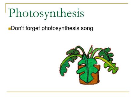 Photosynthesis Don't forget photosynthesis song.